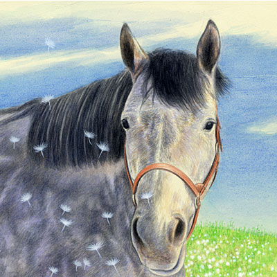 タンポポの綿毛と馬