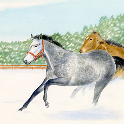 雪の原を駆ける